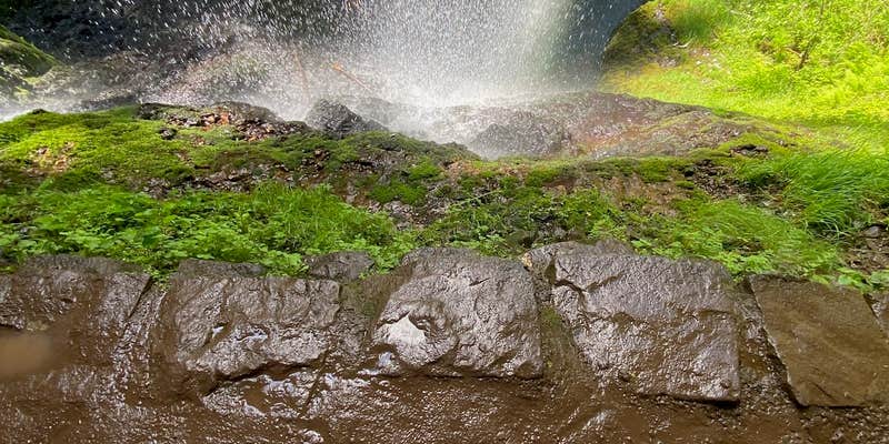 Camper submitted image from Silver Falls State Park Campground