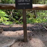 Review photo of Cougar Rock Campground — Mount Rainier National Park by Avery C., June 9, 2023