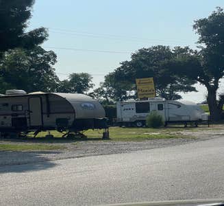 Camper-submitted photo from Bayou Wilderness RV Resort