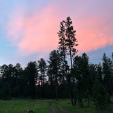 Review photo of RD 356 Dispersed Site Black Hills National Forest by Grace H., June 10, 2023