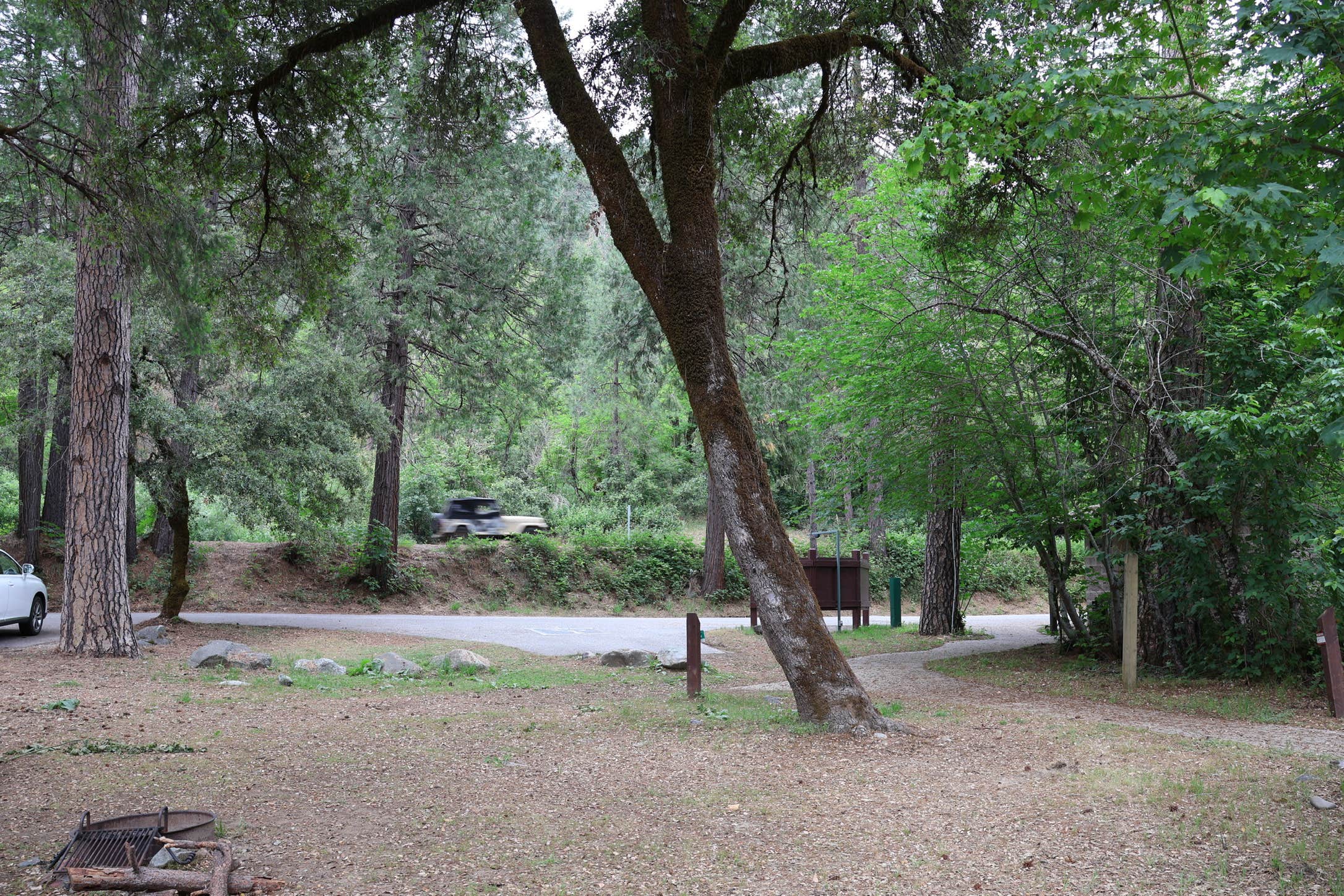 Camper-submitted photo at Fiddle Creek near Oroville, CA