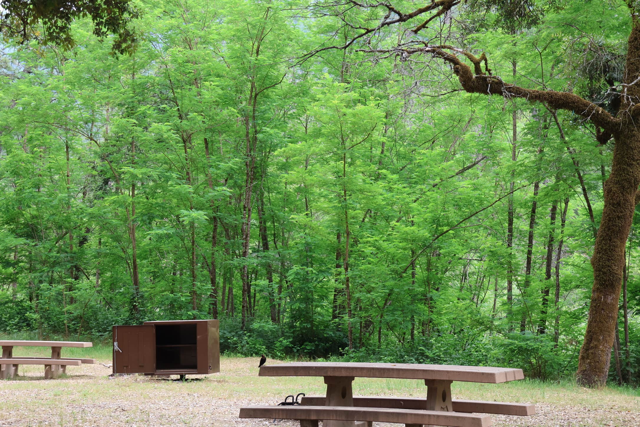Camper submitted image from Fiddle Creek - 3