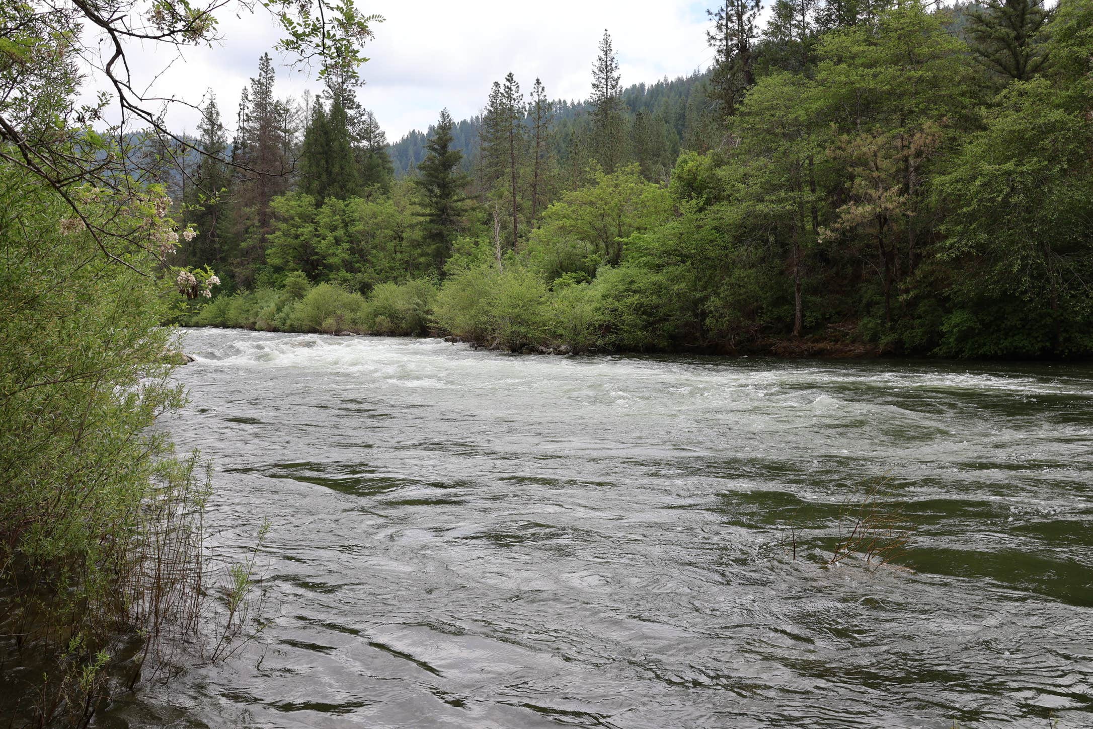 Camper submitted image from Fiddle Creek - 5