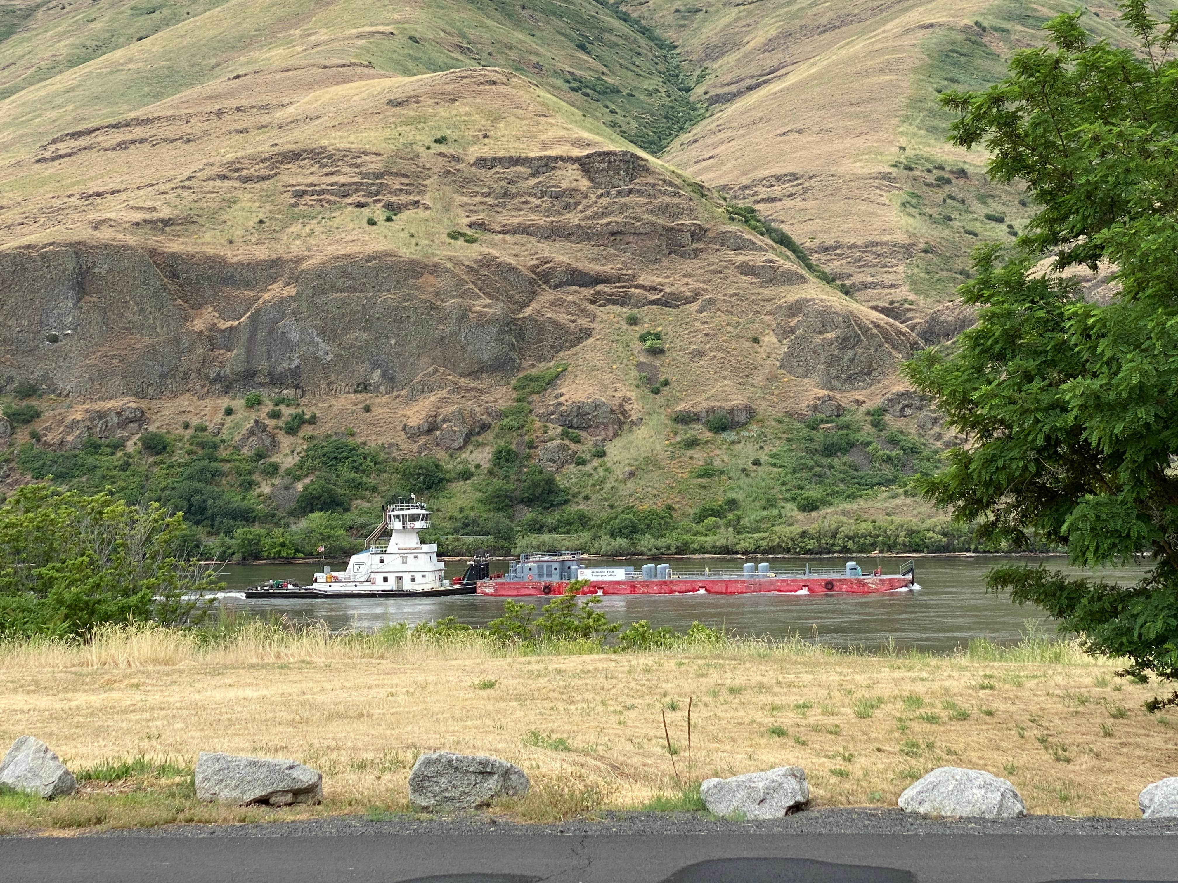 Camper-submitted photo at Boyer Park & Marina KOA near Steptoe, WA