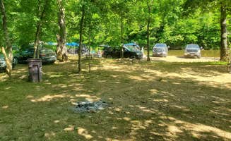 Harley M.'s photo at Sycamore Springs Campground near Chester, IL