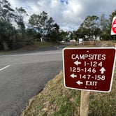 Review photo of St. Andrews State Park Campground by Napunani , June 10, 2023
