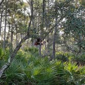 Review photo of St. Andrews State Park Campground by Napunani , June 10, 2023