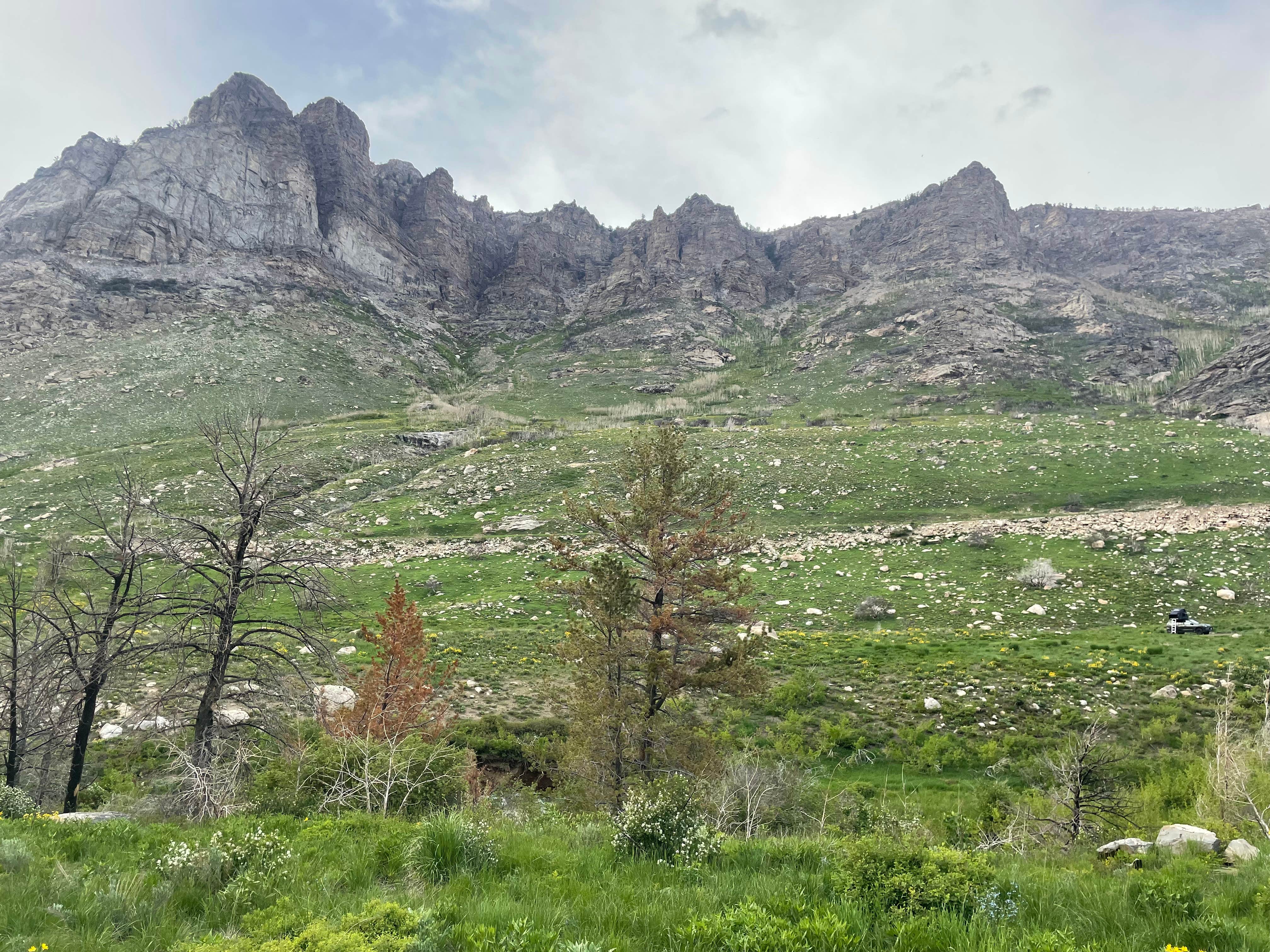 Camper-submitted photo at Camp Lamoille-Dispersed Camping near Spring Creek, NV