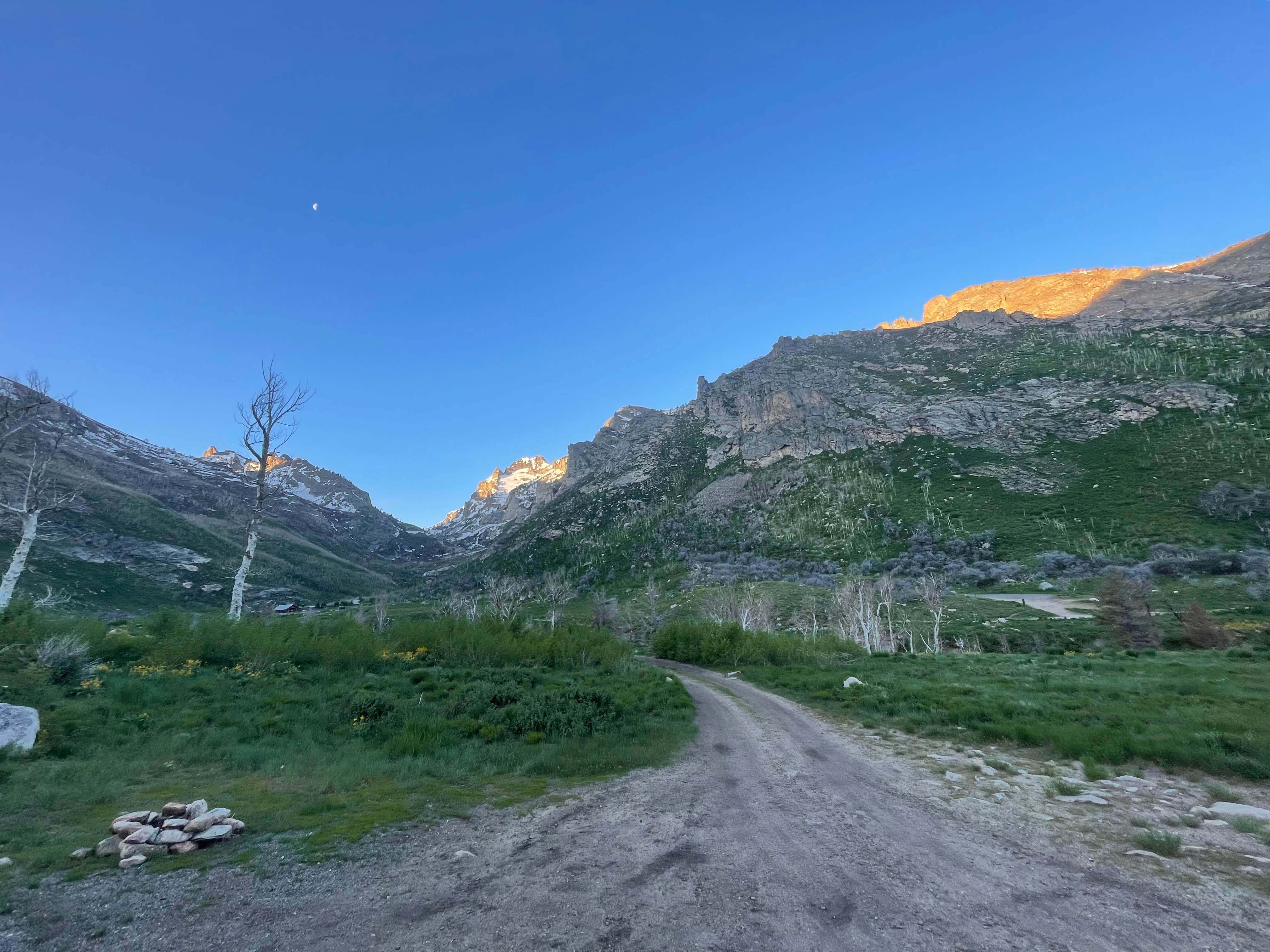 Jackson S.'s photo of a dispersed camping area at Camp Lamoille-Dispersed Camping near Spring Creek, NV