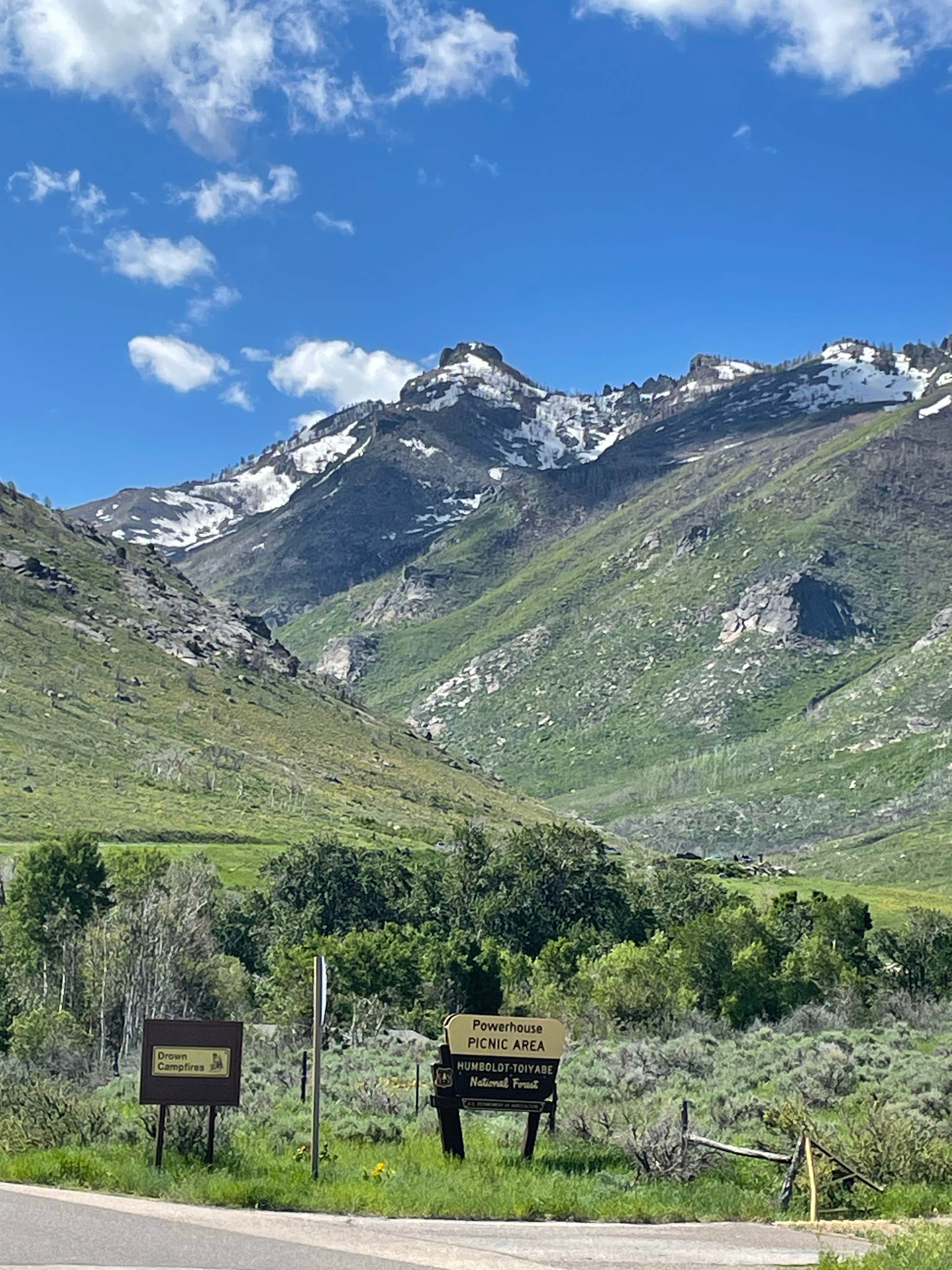 Camper submitted image from Camp Lamoille-Dispersed Camping - 3