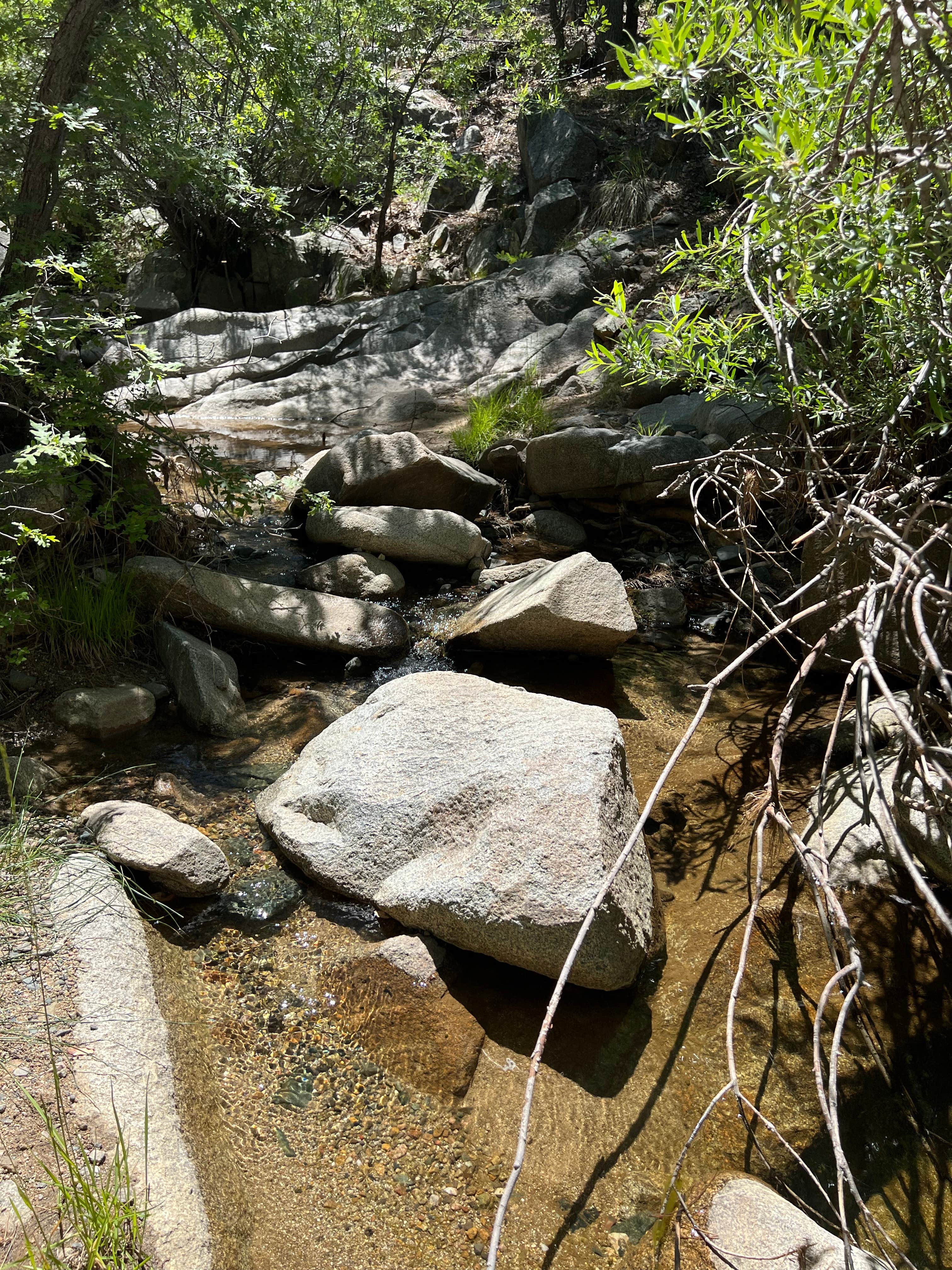 Camper submitted image from Lower Wolf Creek Campground - 5