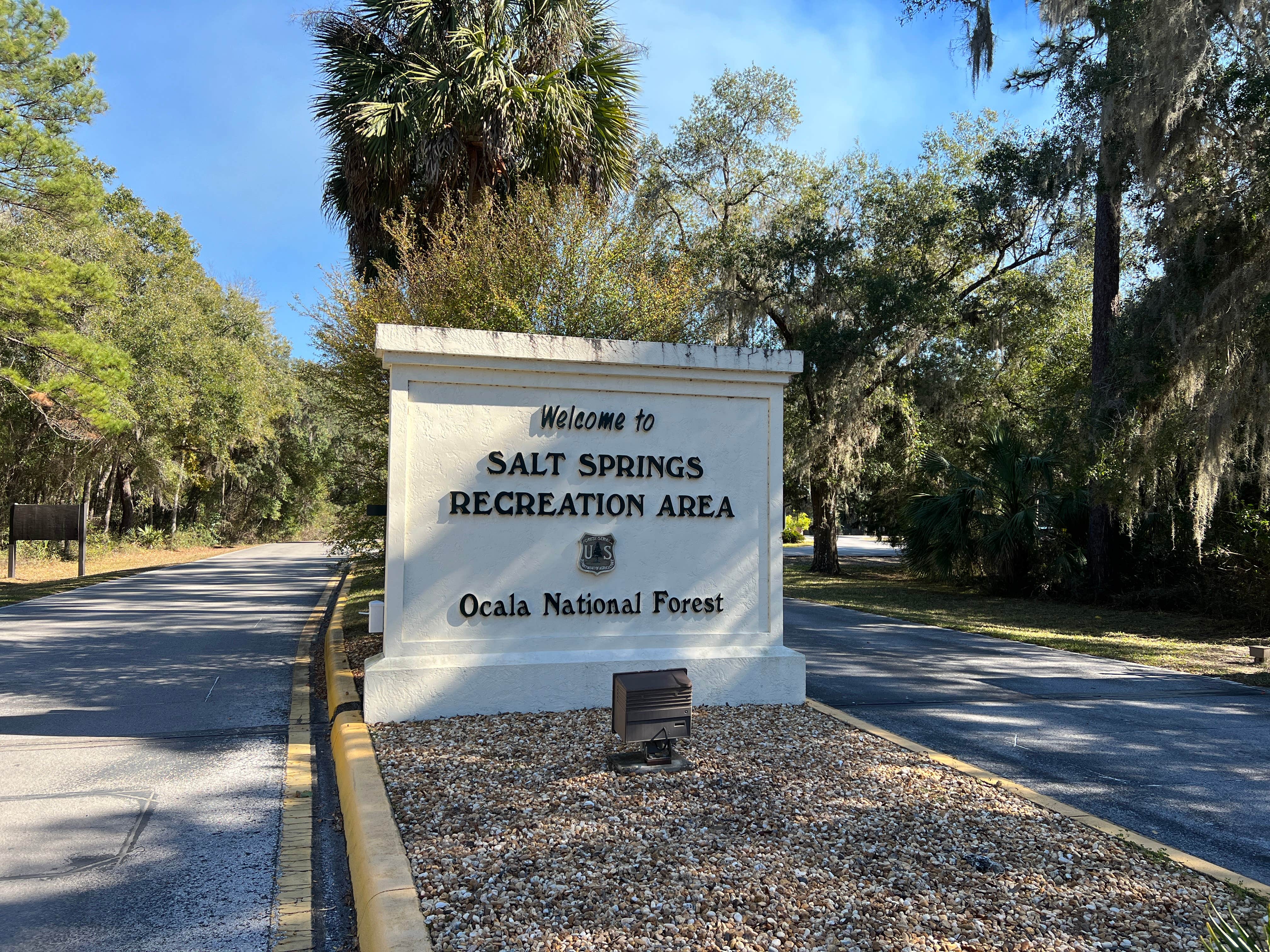 National Forests in Florida - Salt Springs Recreation Area