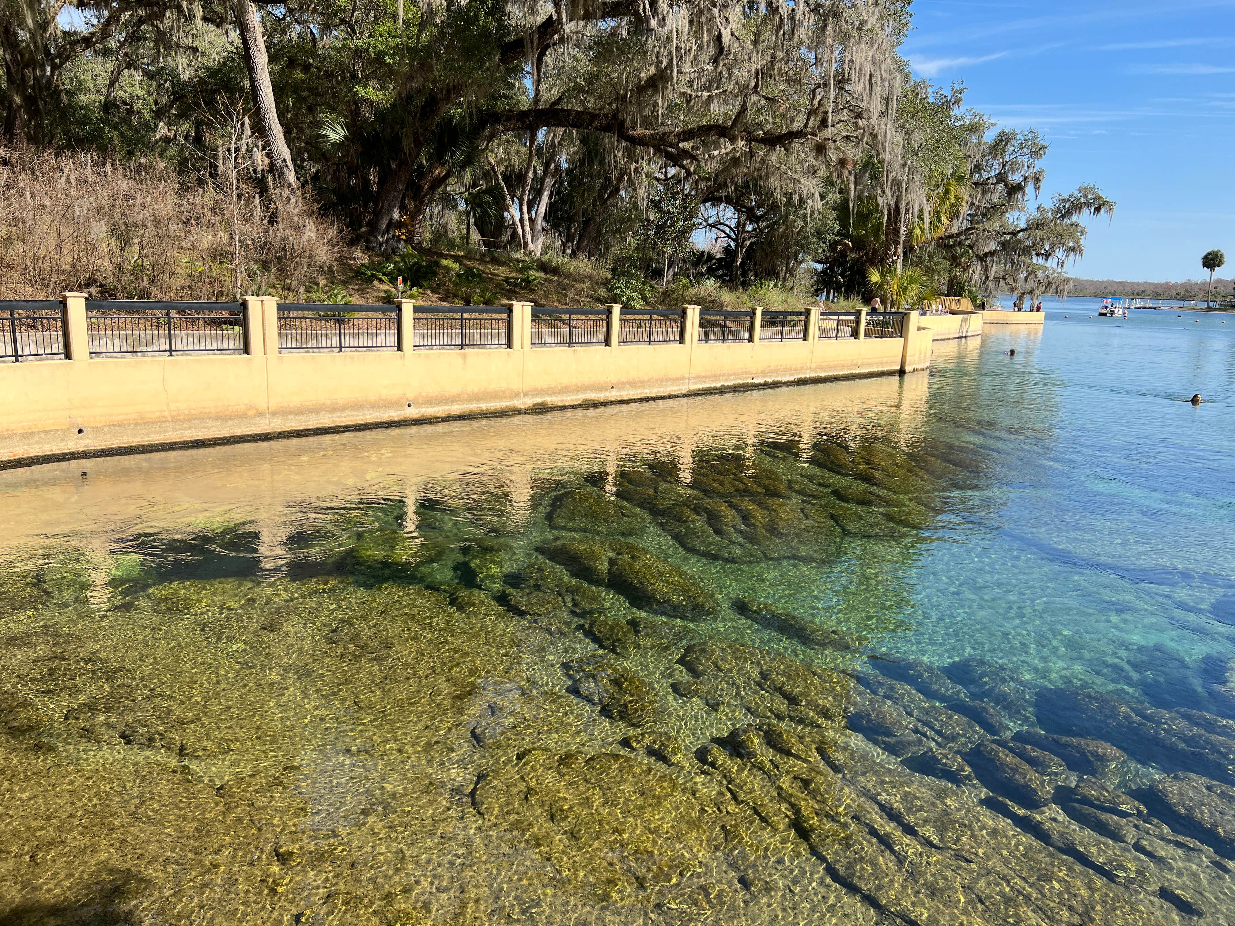 National Forests in Florida - Salt Springs Recreation Area