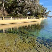 Review photo of Salt Springs Recreation Area by Napunani , June 10, 2023