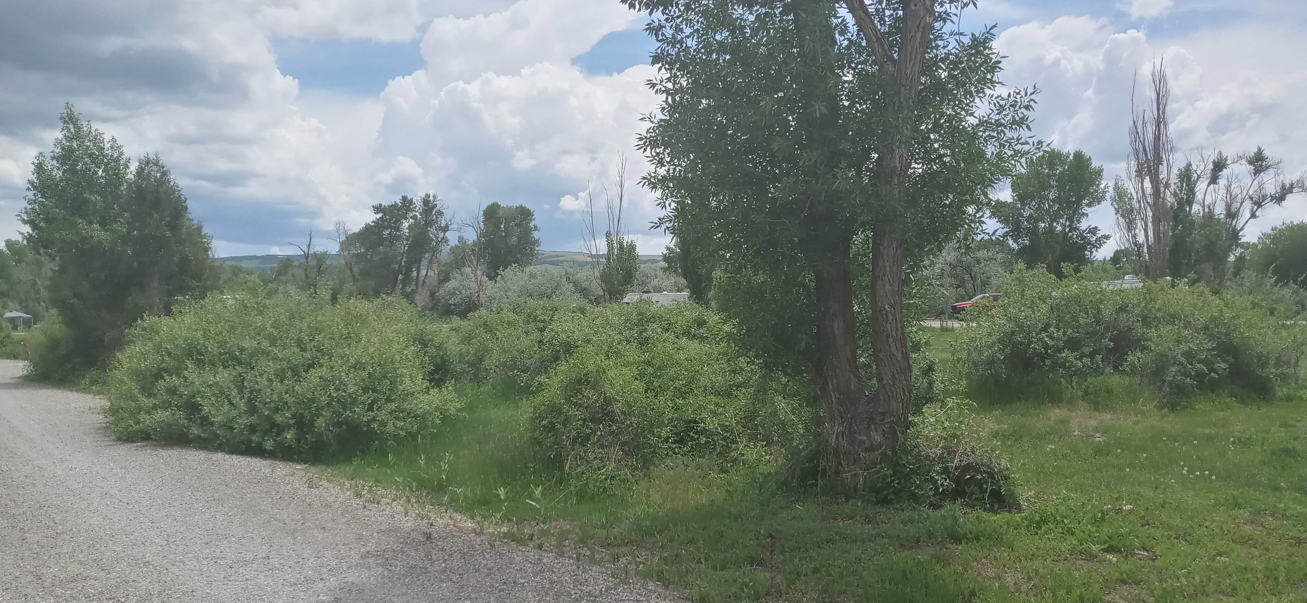 Camper-submitted photo at Kelly Island Campground near Rigby, ID