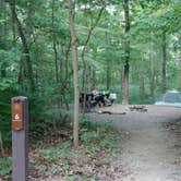 Review photo of White Oak Campground by Lisa T., October 15, 2018