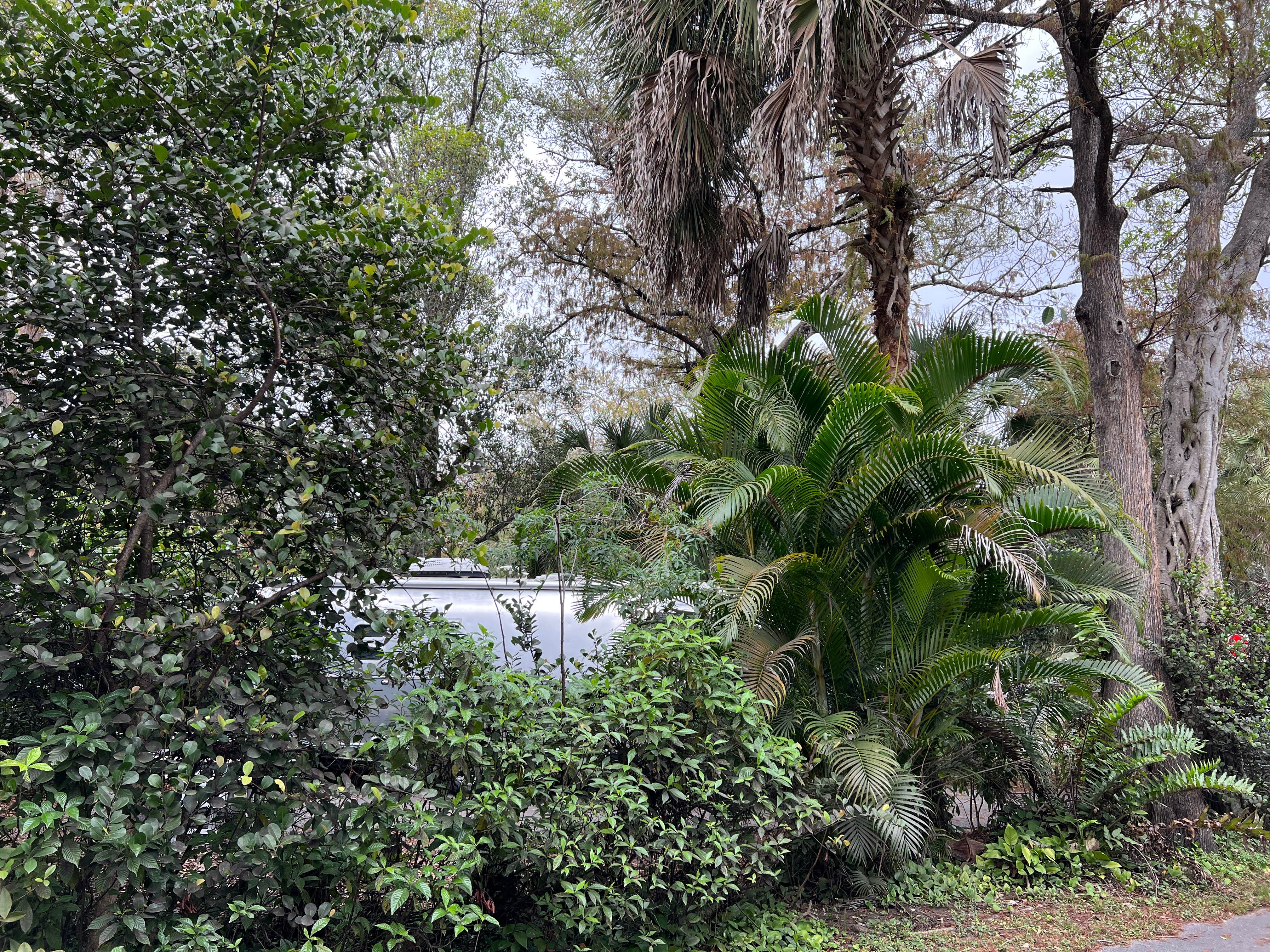 Camper-submitted photo at Easterlin Park Campground near Delray Beach, FL