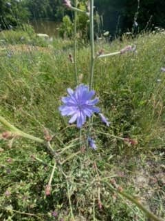 Camper-submitted photo at Turkey Bayou Campground near Jonesboro, IL