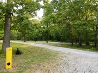 Camper submitted image from Turkey Bayou Campground - 5