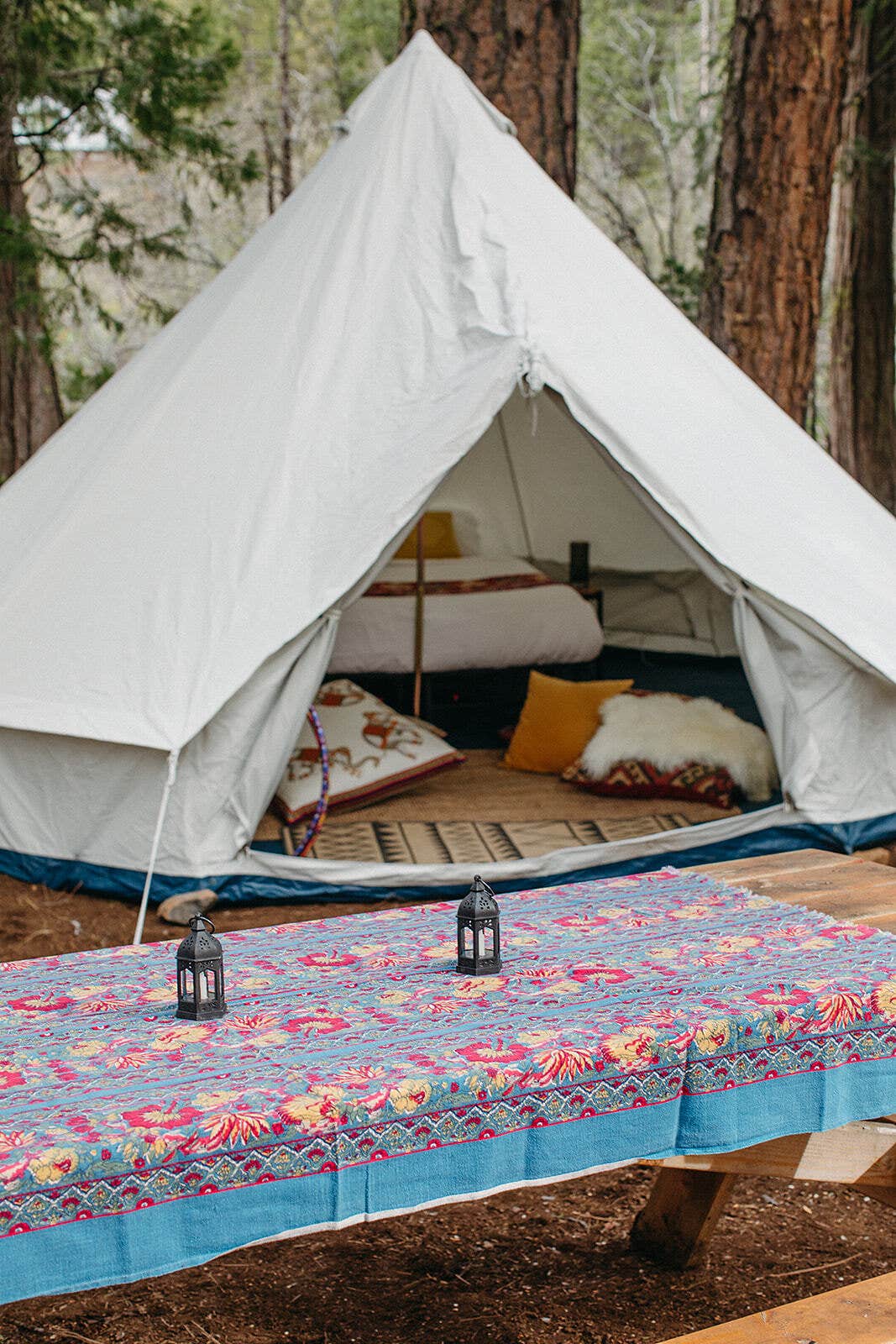 The Dyrt's photo at Mill Creek Resort near Shingletown, CA