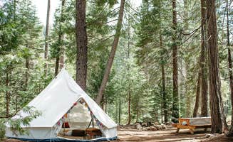 The Dyrt's photo at Mill Creek Resort near Shingletown, CA