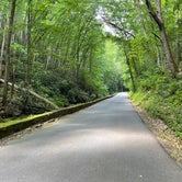 Review photo of Riverside Campground — Watoga State Park by Mark K., June 11, 2023