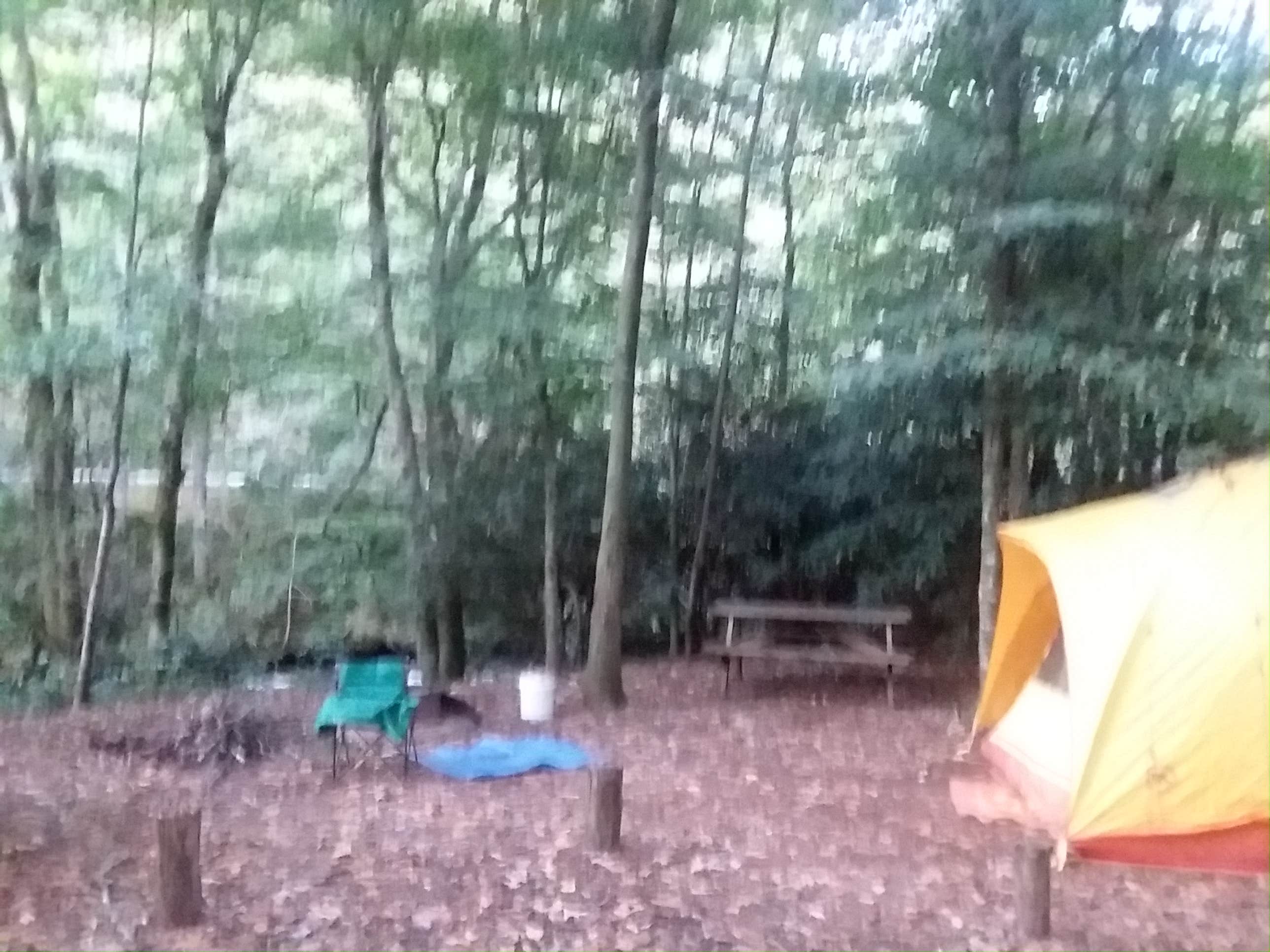 Kirsten J.'s photo at Lazy J Campground near Rosman, NC