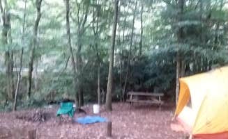 Kirsten J.'s photo at Lazy J Campground near Balsam Grove, NC