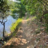 Review photo of Riverside Campground — Watoga State Park by Mark K., June 11, 2023