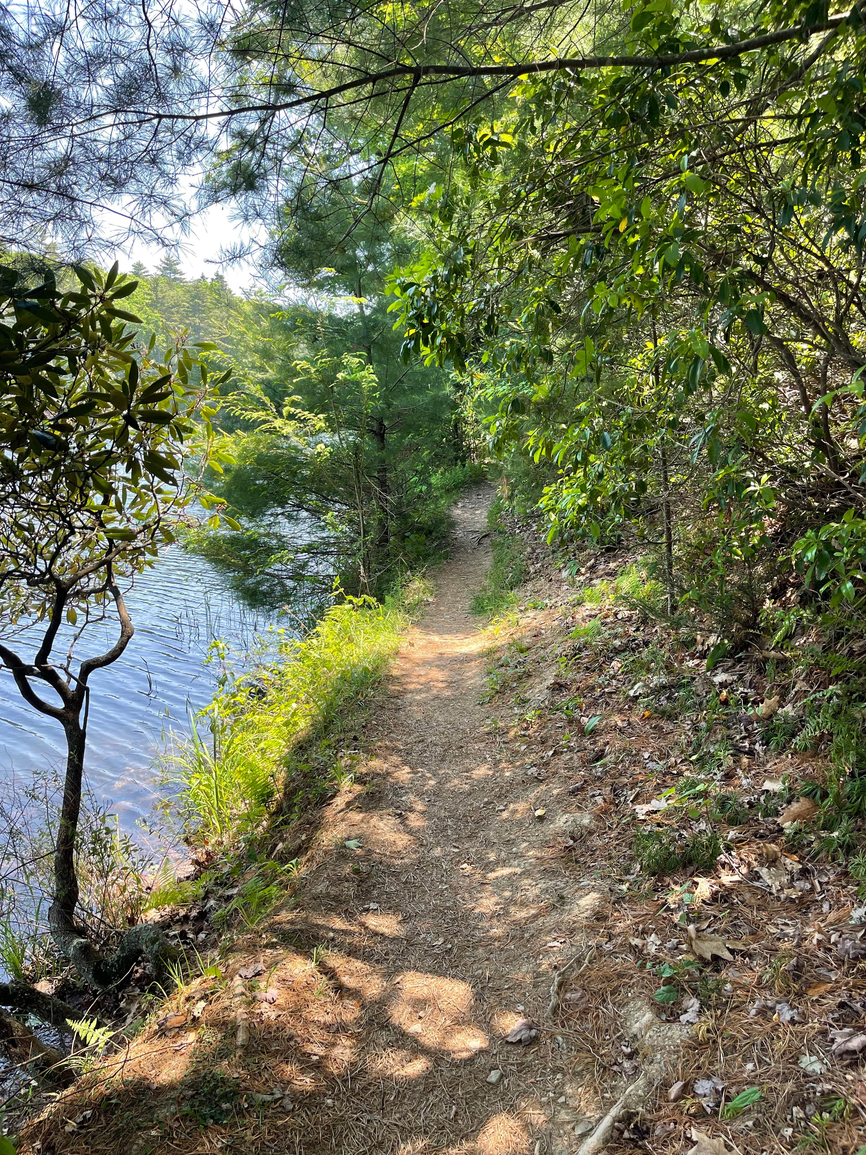 Camper submitted image from Riverside Campground — Watoga State Park - 3