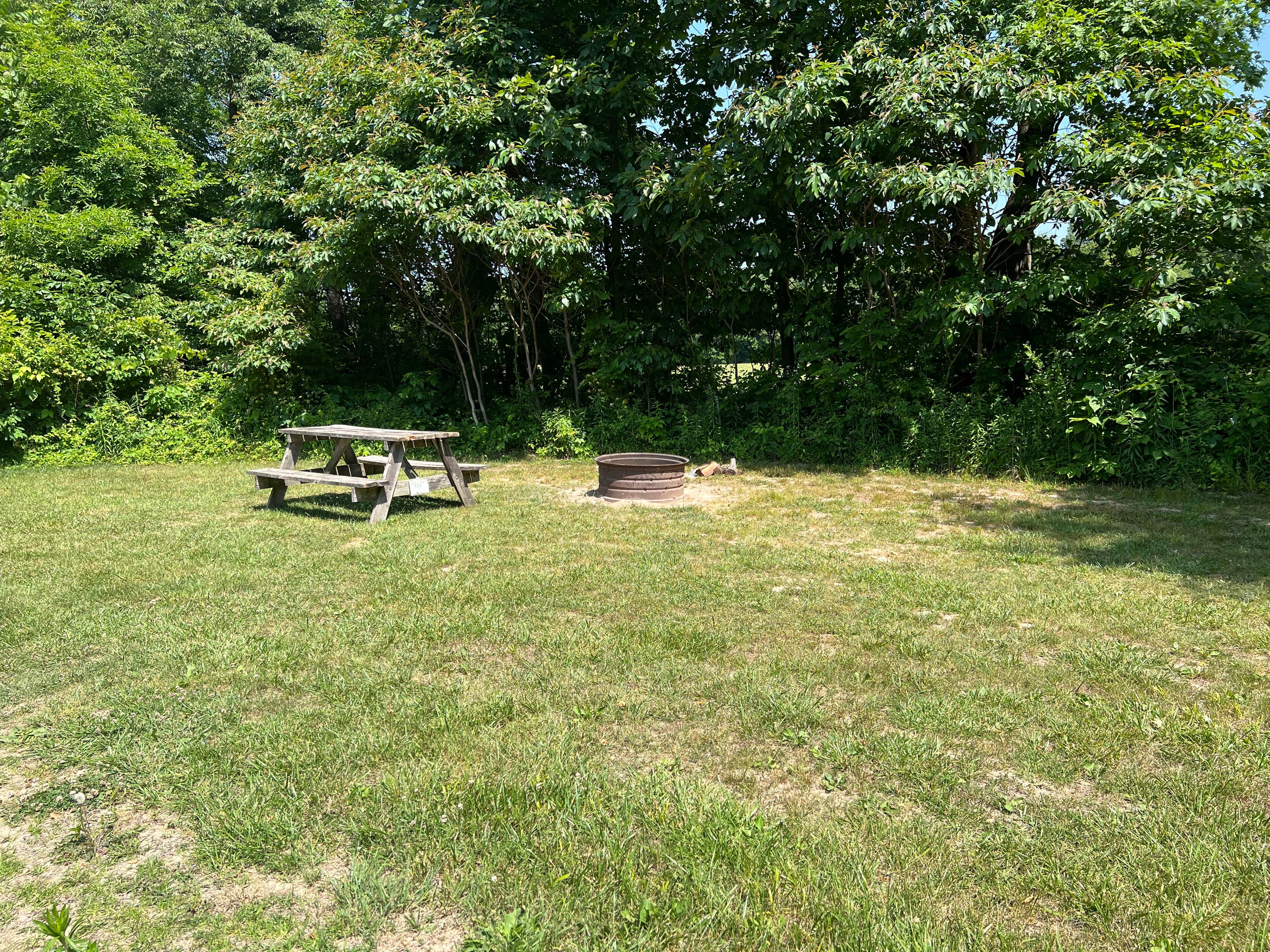 Camper-submitted photo at Peaceful Waters Campground near Cecil M. Harden Lake