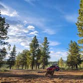 Review photo of Tom Best Spring Road FR117 Dispersed - Dixie National Forest by Laura R., June 11, 2023