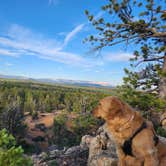 Review photo of Tom Best Spring Road FR117 Dispersed - Dixie National Forest by Laura R., June 11, 2023