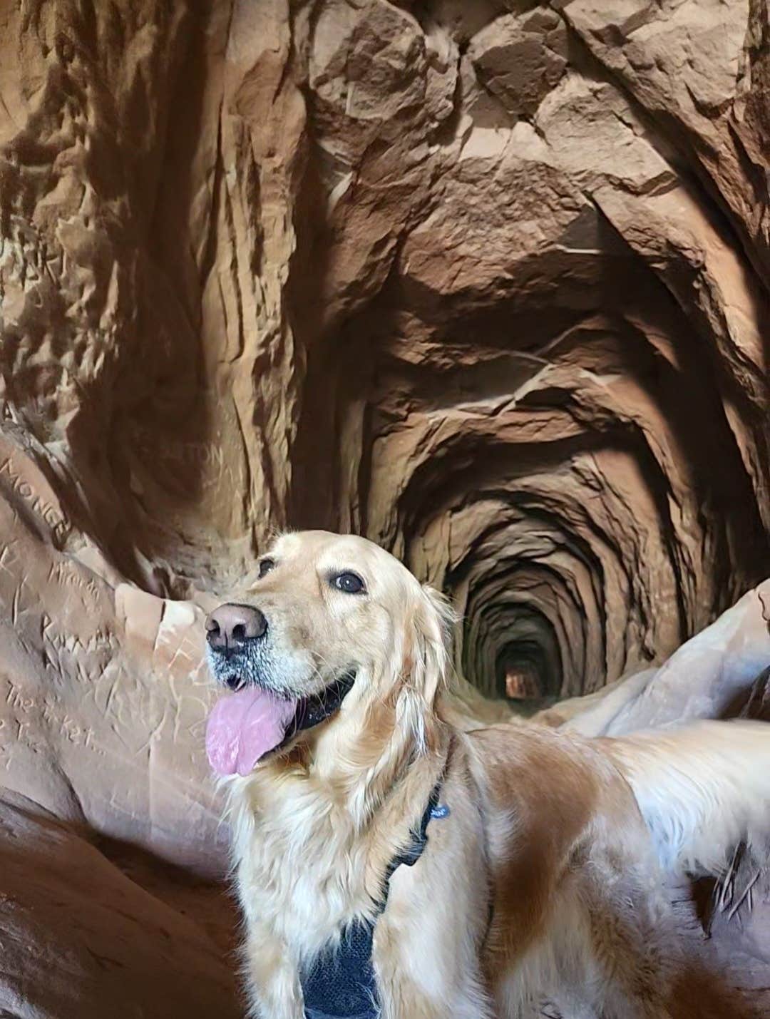 Camper-submitted photo at Mt Carmel Old 89 Dispersed Camping near Glendale, UT