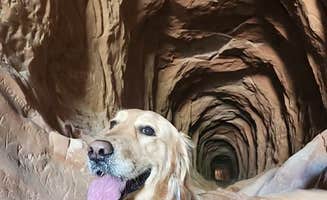 Laura R.'s photo of camping with pets at Mt Carmel Old 89 Dispersed Camping near Kanab, UT