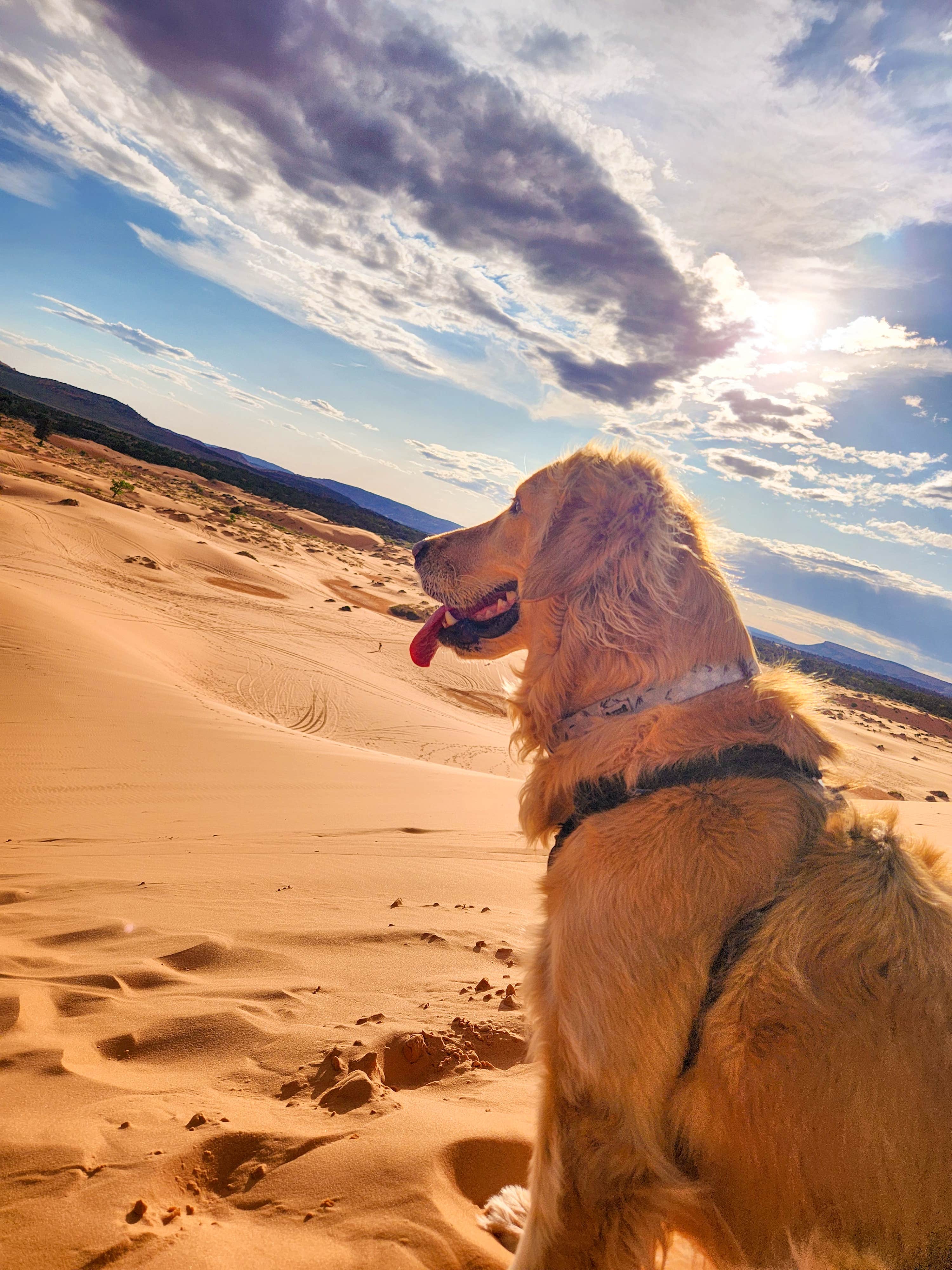 Camper-submitted photo at Mt Carmel Old 89 Dispersed Camping near Colorado City, AZ