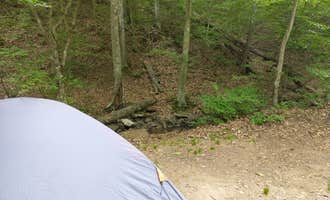Camping near River Expeditions Campsites: Plum Orchard Lake Wildlife Management Area — Plum Orchard Wildlife Management Area, Scarbro, West Virginia
