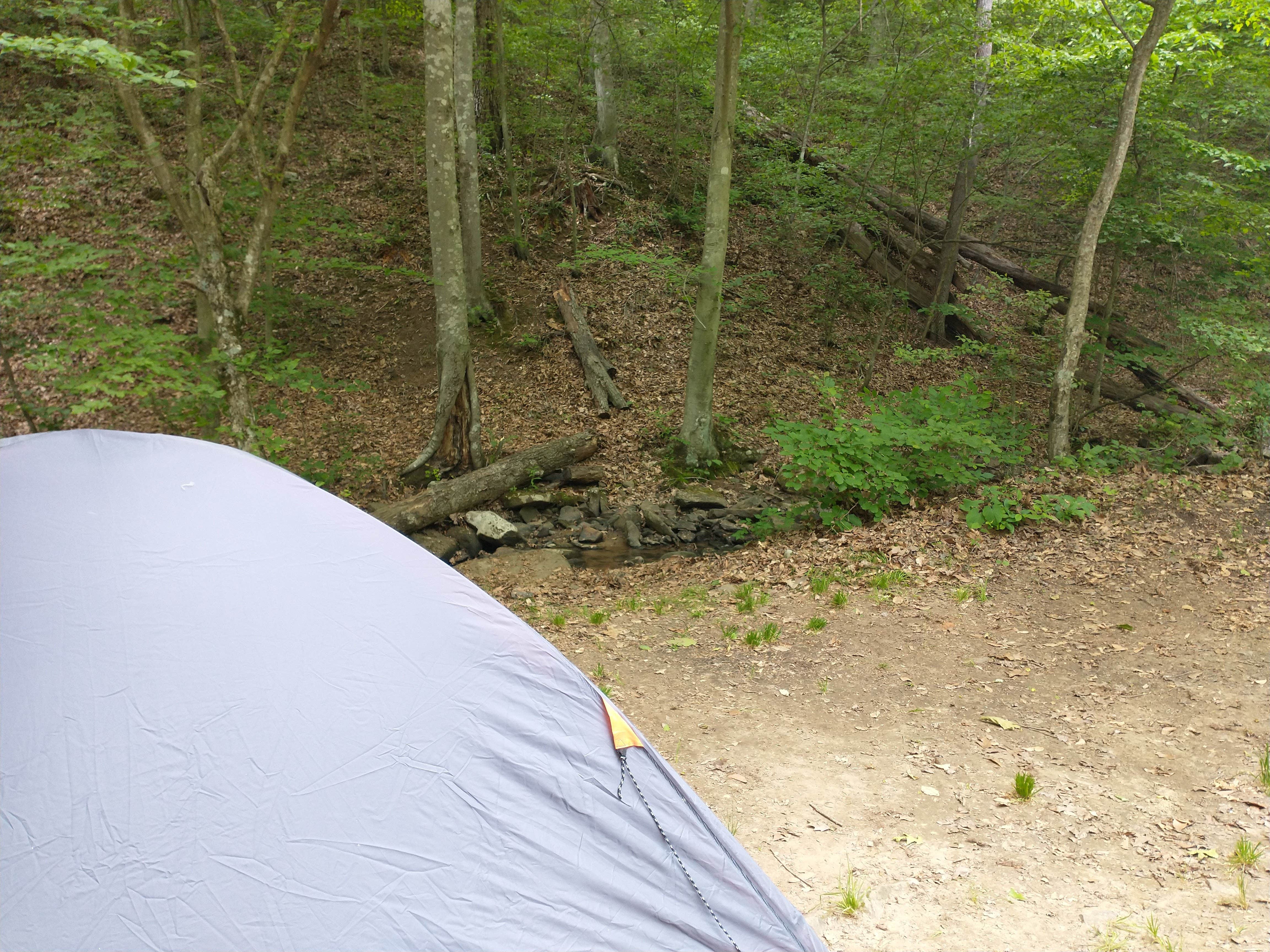 Camper submitted image from Plum Orchard Lake Wildlife Management Area - 1