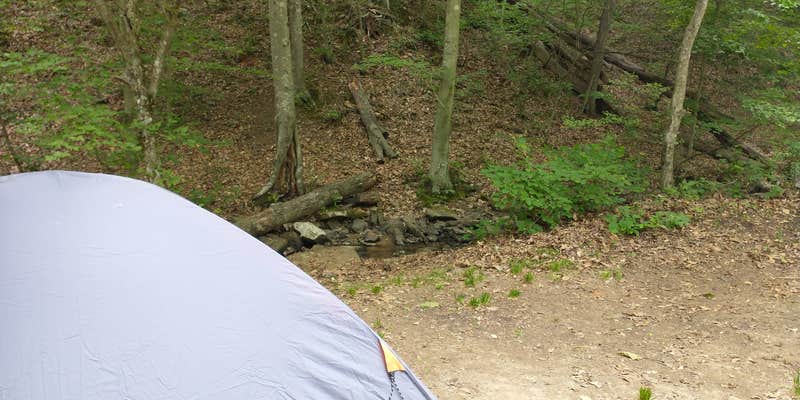 Camper submitted image from Plum Orchard Lake Wildlife Management Area — Plum Orchard Wildlife Management Area