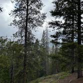 Review photo of Boreas Pass Road Designated Dispersed Camping by Stephanie L., June 11, 2023