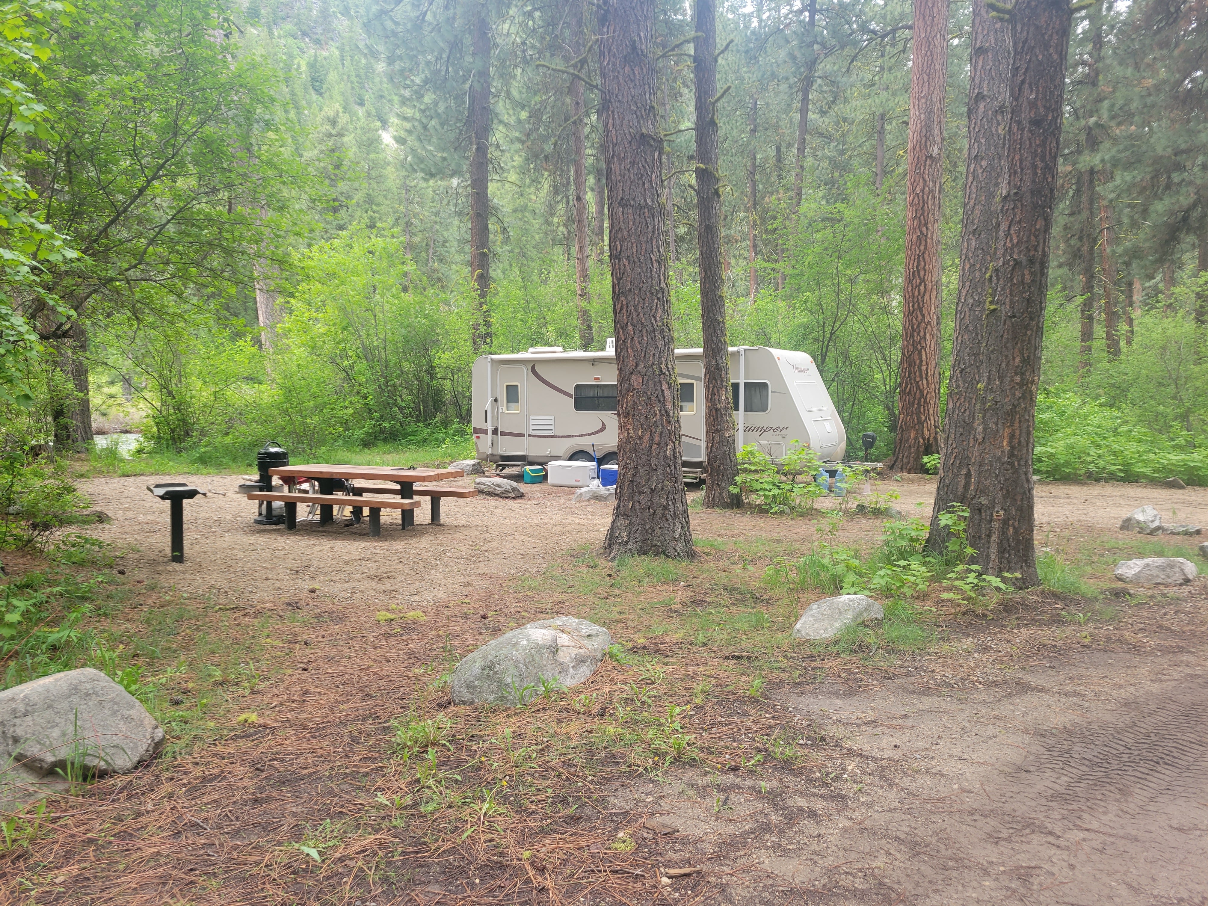 Camper submitted image from Bird Creek Primitive - Sawtooth National Forest - 5