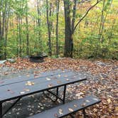 Review photo of Smugglers Notch State Park Campground by Rachel P., October 16, 2018