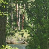 Review photo of Bird Creek Primitive - Sawtooth National Forest by Norm F., June 11, 2023