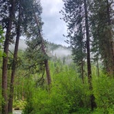 Review photo of Bird Creek Primitive - Sawtooth National Forest by Norm F., June 11, 2023