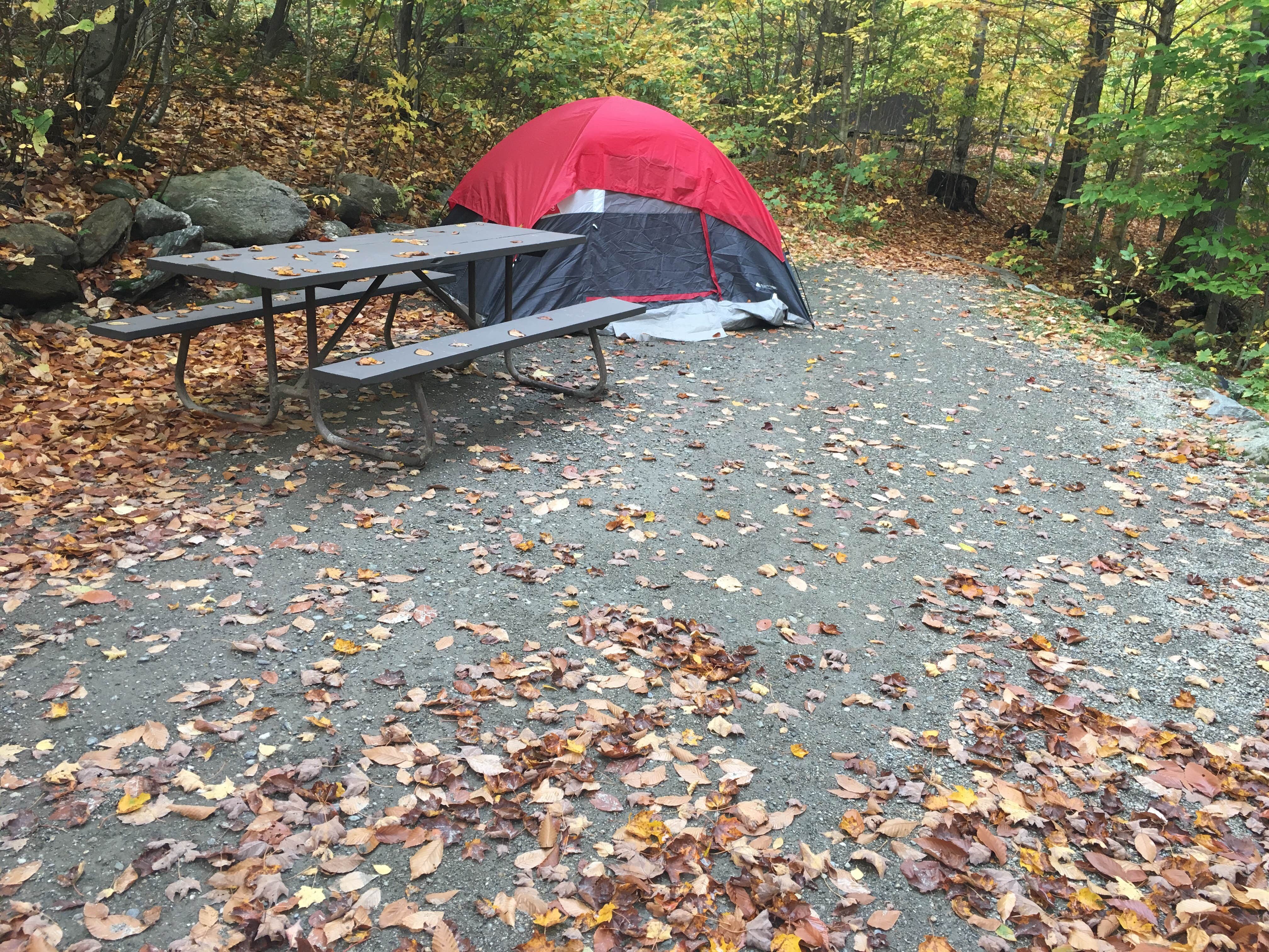 Rachel P.'s photo at Smugglers Notch State Park Campground near Waterbury, VT