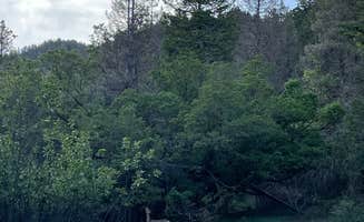 Jacob S.'s photo at Red Canyon Campground near La Joya, NM