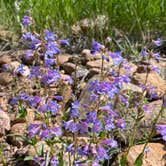 Review photo of Phantom Canyon Road BLM Sites by Mitchell V., June 11, 2023