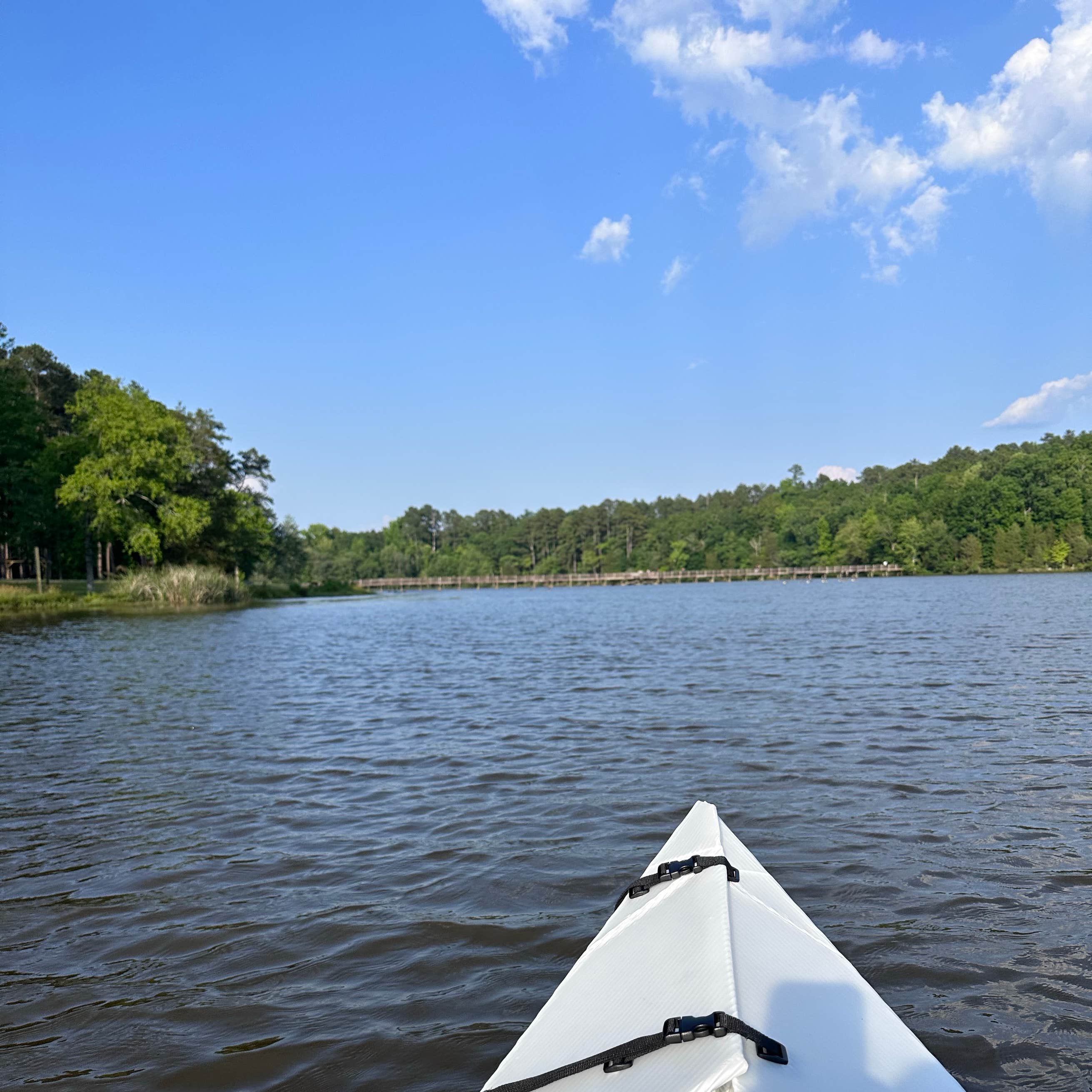 Chester State Park Campground | Chester, SC