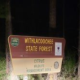 Review photo of Tillis Hill  Recreation Area - Withlacoochee State Forest by Mandie Z., June 11, 2023
