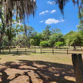 Review photo of Tillis Hill  Recreation Area - Withlacoochee State Forest by Mandie Z., June 11, 2023